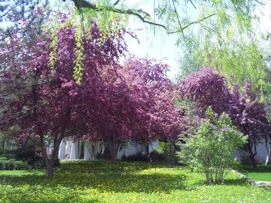 Agacli Hotel Aksaray Exterior photo